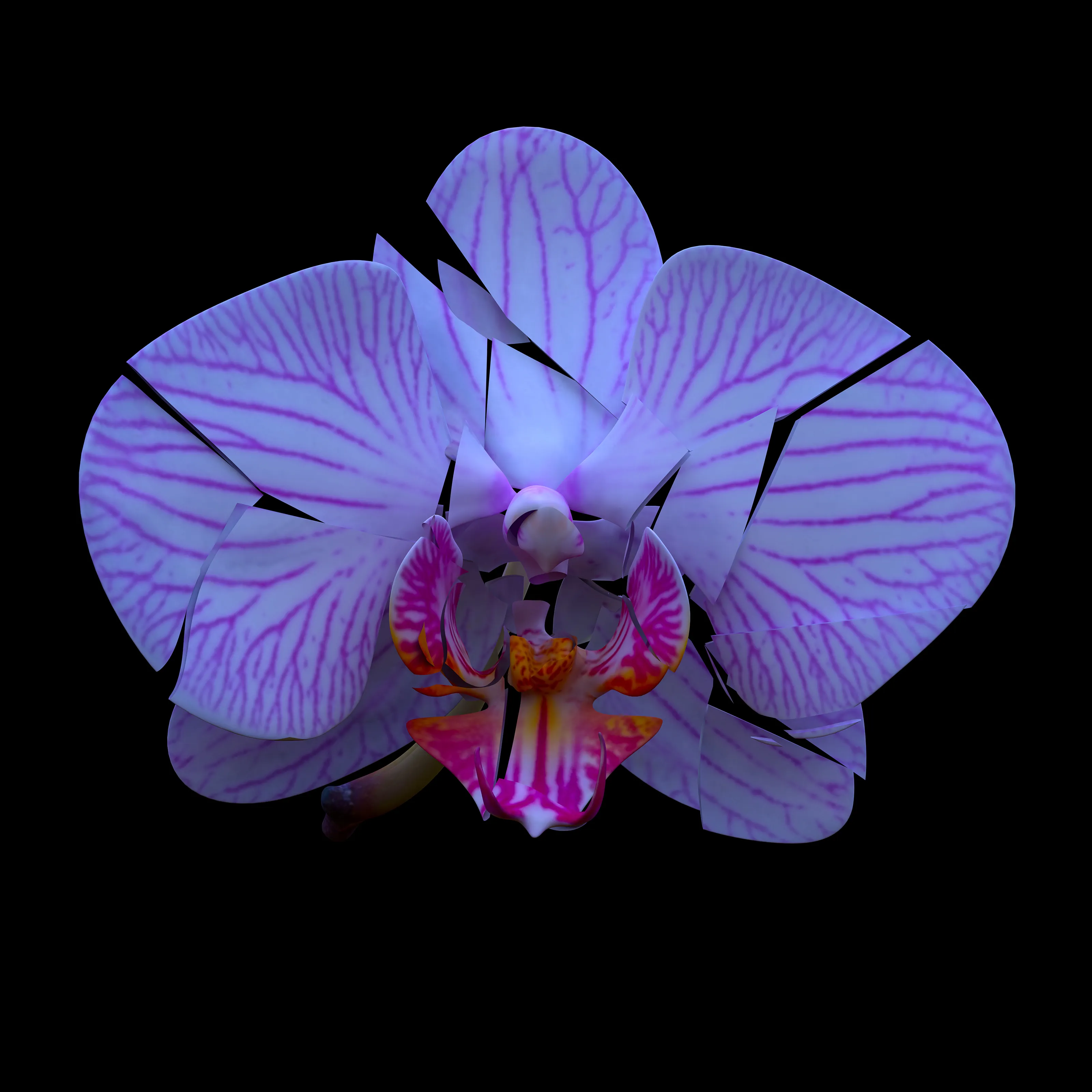 A colourful 3D rendered orchid breaks into shards.