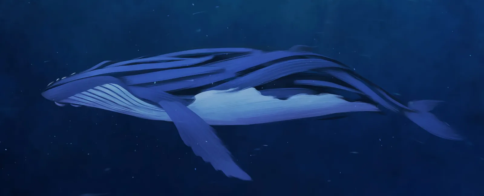 An illustration of a whale underwater.