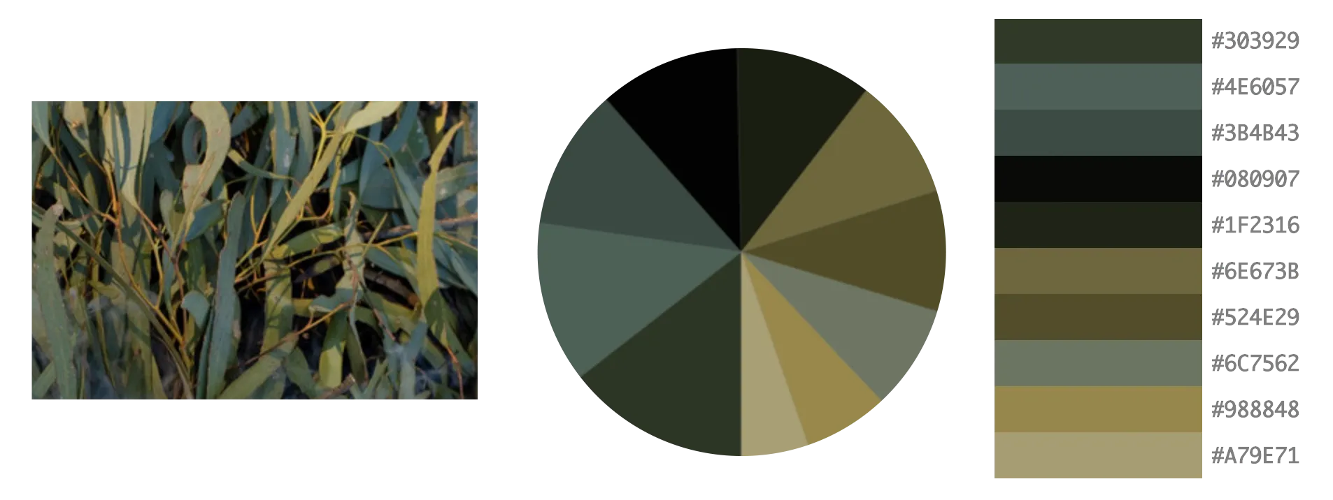 A photograph of leaves beside a graphic depicting its colour palette: greens and yellows.