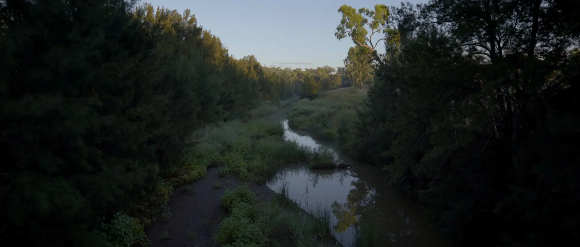 Aerial view of a creek surrounded of trees in the late afternoon.