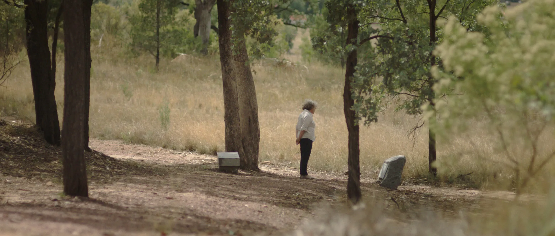 A woman stands in front of a memorial stone, surrounded by trees and grassland.