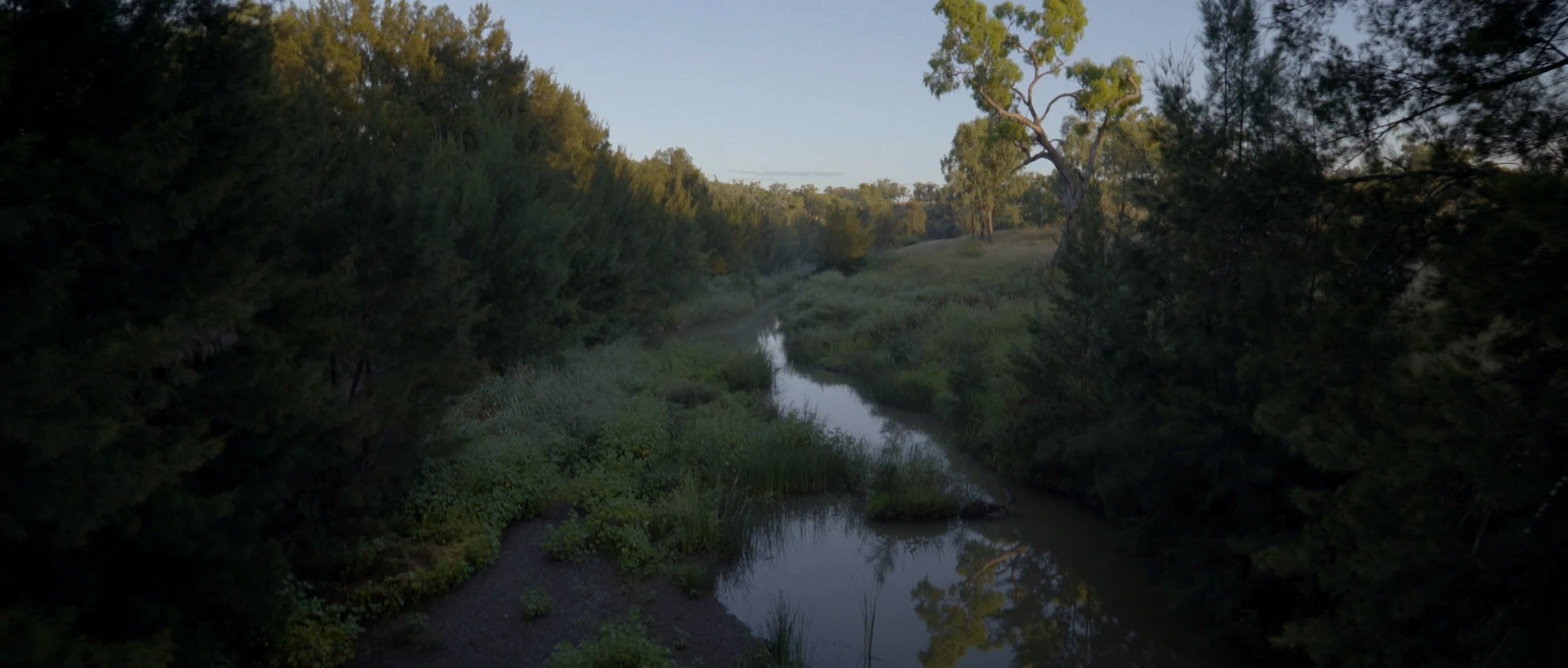 A narrow creek winding through dense bushland in the soft light of dusk.