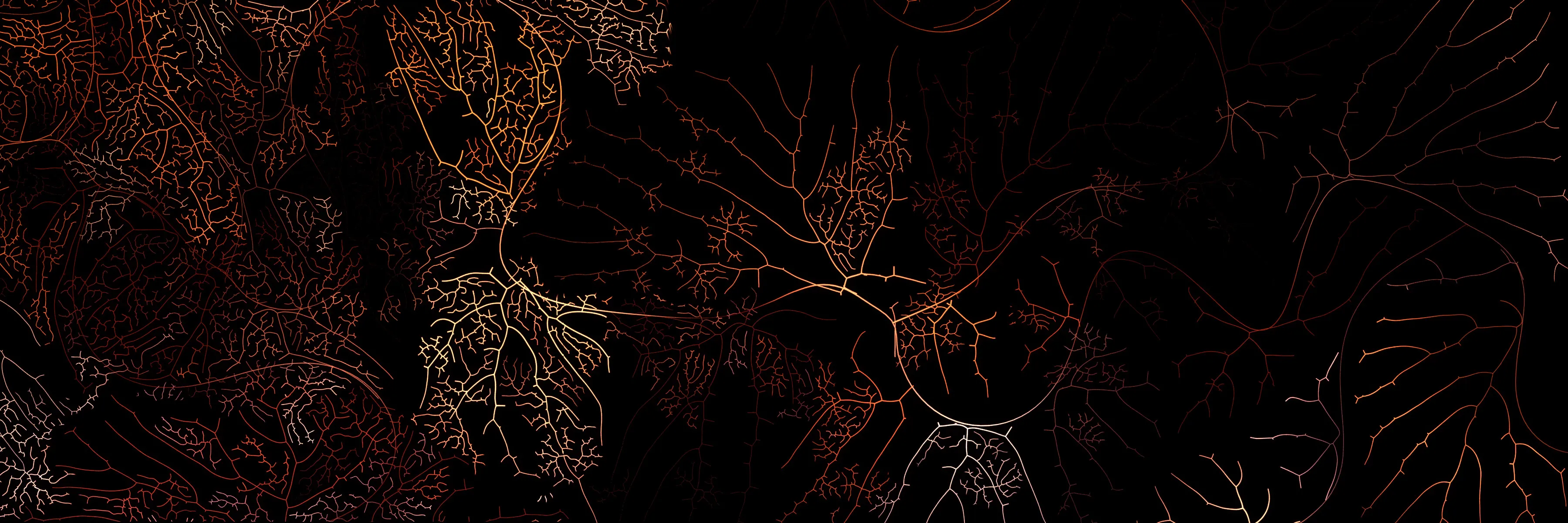Growing lines that look like veins or the path of rivers as seen from above. They are in warm hues and set against black.