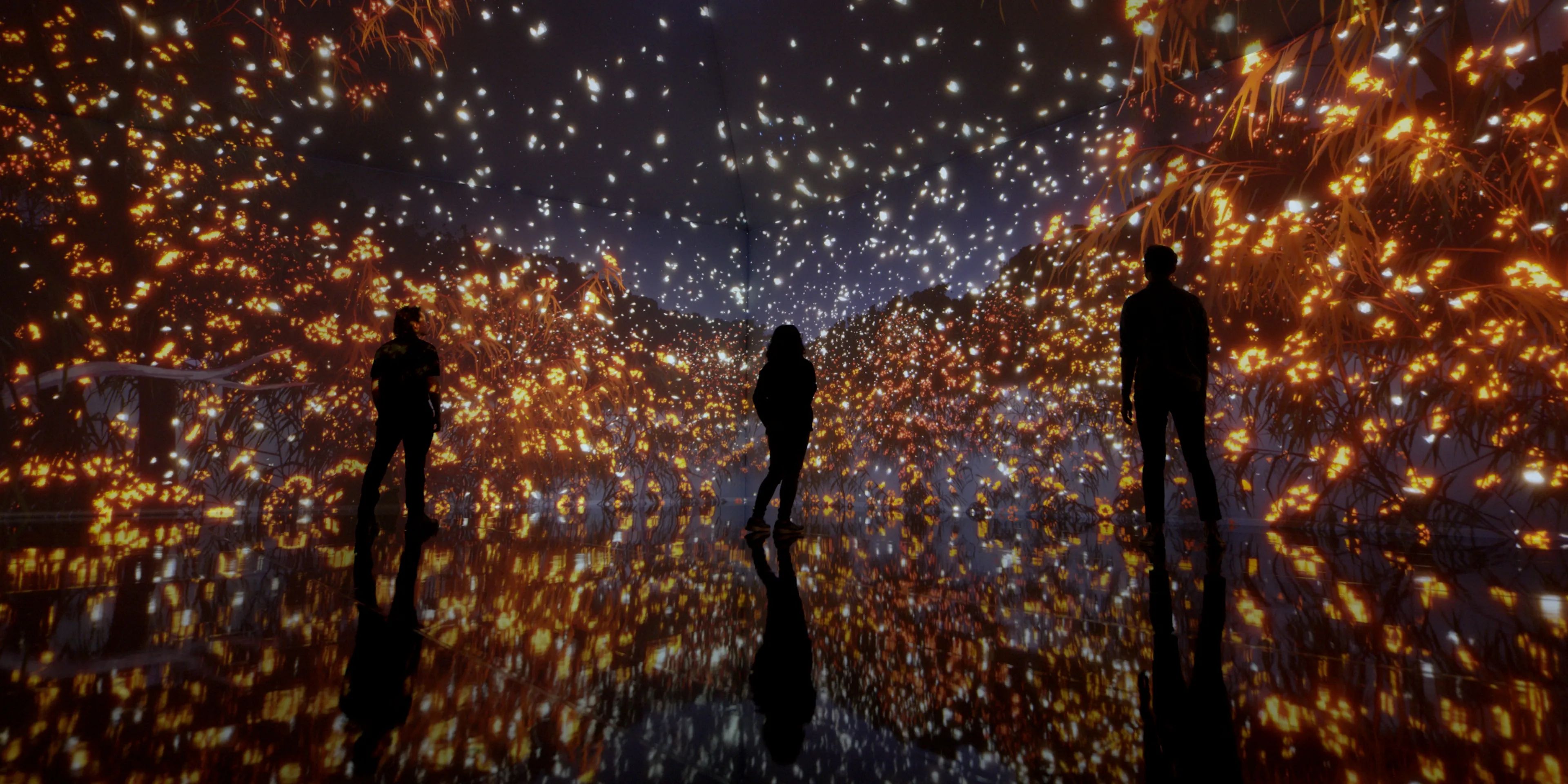 Three people stand looking up at an immersive projection of thousands of bioluminescent insects at night.